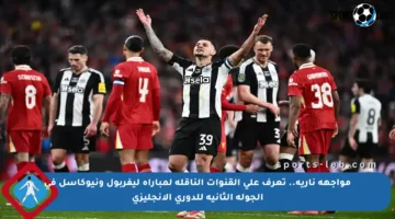 مواجهة نارية.. تعرف على القنوات الناقلة لمباراة ليفربول ونيوكاسل في الجولة الثانية للدوري الإنجليزي